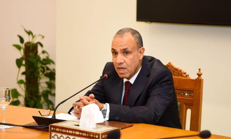 بدر عبد العاطي: لا مجال للحديث عن تقسيم غزة