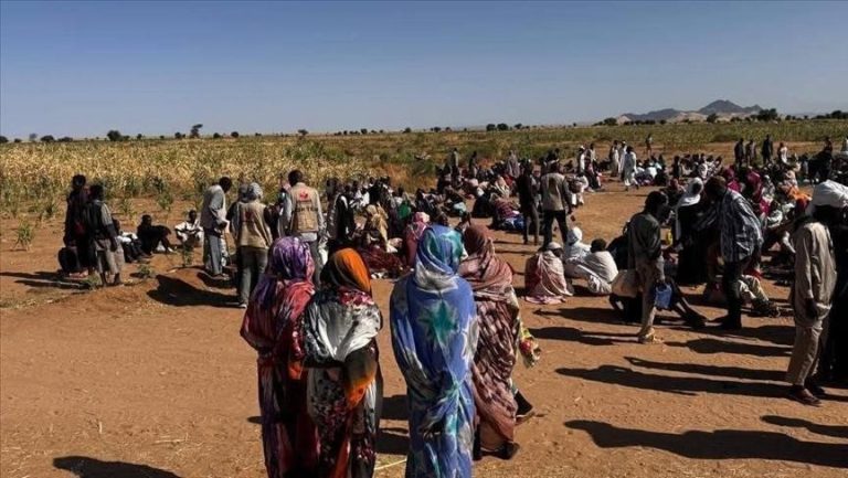 منظمة الهجرة الدولية: نزوح 1290 شخصًا من شمال وجنوب كردفان بسبب تدهور الأوضاع الأمنية