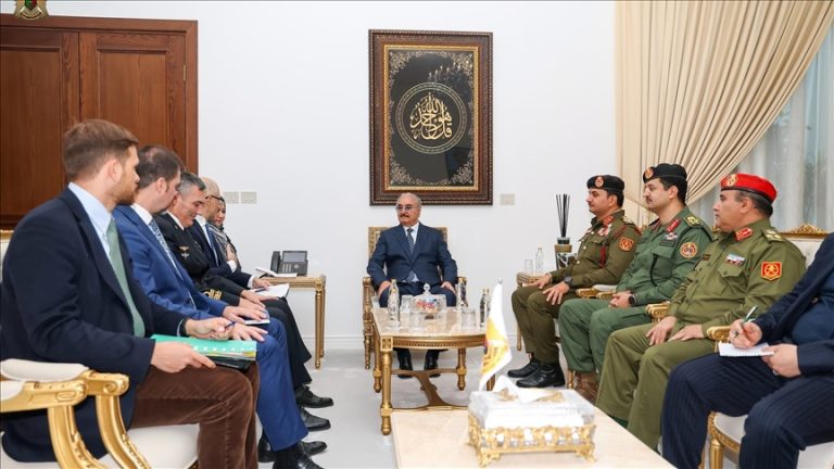 خليفة حفتر يبحث مع وفد أوروبي تعزيز التعاون السياسي والأمني في ليبيا