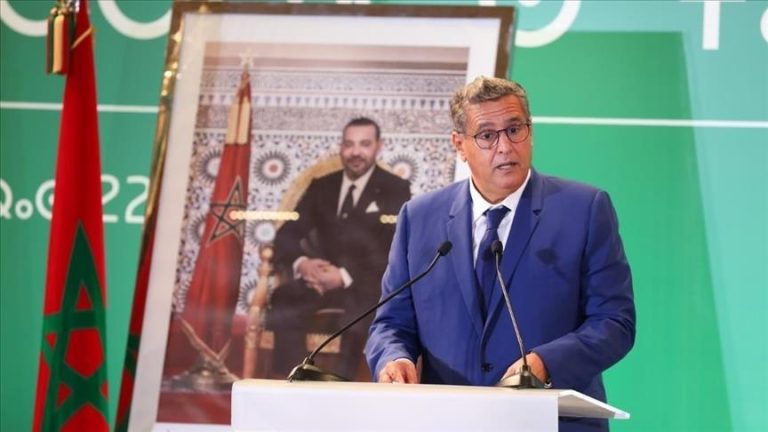 أخنوش يدعو إلى تسريع تفعيل منطقة التجارة الحرة الإفريقية وسط ضعف المبادلات البينية