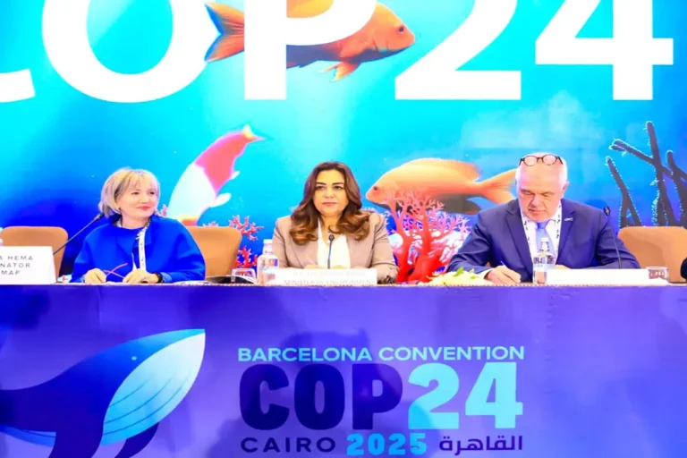 مصر تتسلم رئاسة اتفاقية برشلونة لحماية بيئة البحر المتوسط وتبحث تعزيز الاستثمارات