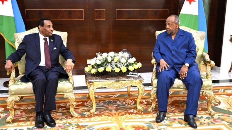 رئيس جيبوتي ورئيس وزراء السودان يبحثان السلام وعودة الخرطوم للاتحاد الإفريقي