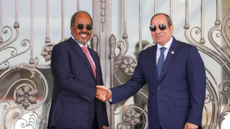 خلال استقبال الرئيس الصومالي، السيسي يحذر من مخاطر الدولة الفاشلة، مؤكدًا ضرورة تجنب مصير الصومال