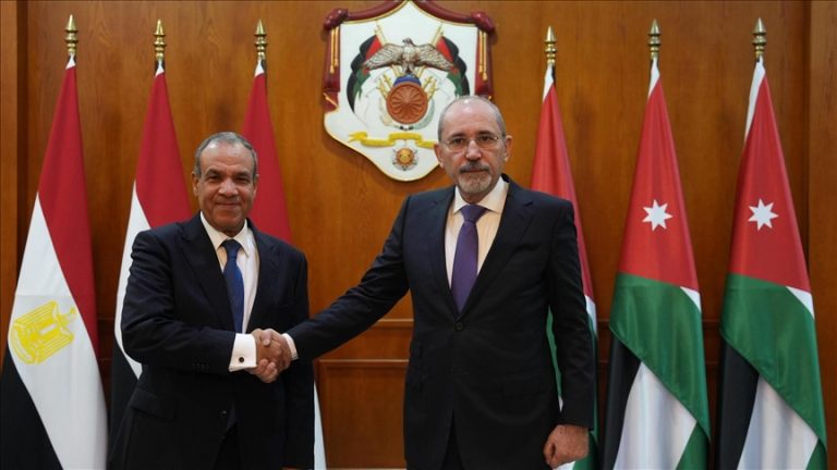 وزير الخارجية المصري ونظيره الأردني يؤكدان الالتزام باتفاق غزة ودعم حل الدولتين