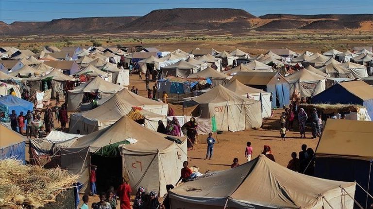 أطباء السودان: أوضاع إنسانية بالغة السوء لأكثر من 600 طفل وامرأة في مخيم للنازحين بكادوقلي