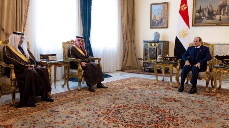 السيسي يبحث مع وزير خارجية السعودية التطورات الإقليمية والدولية