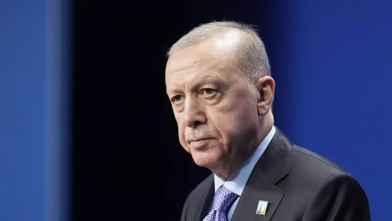 الرئاسة التركية: أردوغان يؤجل زيارته إلى أبو ظبي بسبب الوضع الصحي لمحمد بن زايد