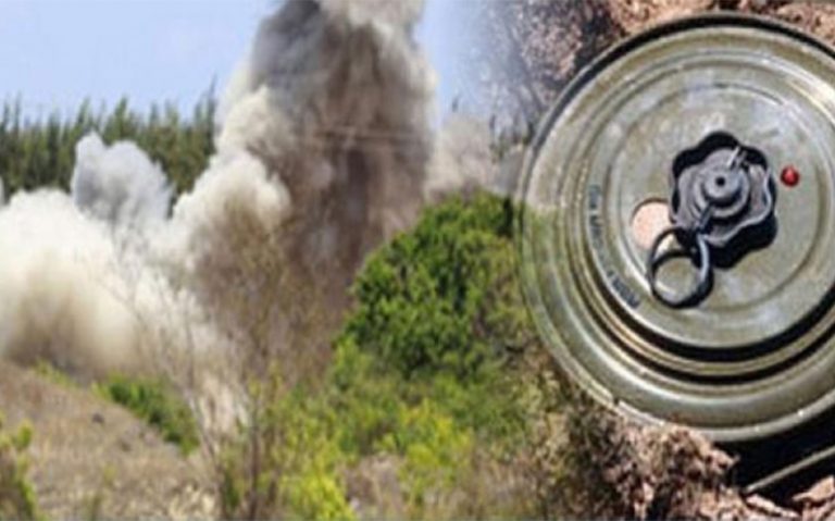 انفجار لغم من مخلفات جيش الاحتلال ينهي حياة طفلين في الأغوار الوسطى