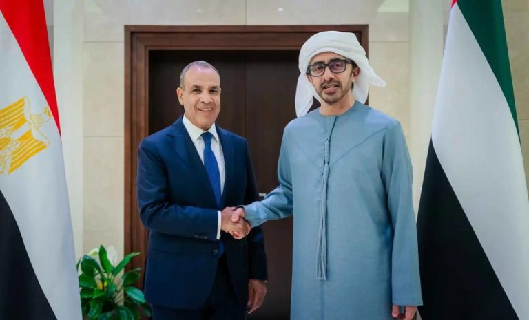وزيرا خارجية الإمارات ومصر يبحثان ملف غزة وأمن الشرق الأوسط