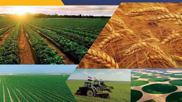 تحركات عاجلة لإعادة صياغة استراتيجيات الأمن الغذائي في مصر لمواجهة التحديات الاقتصادية والمناخية الراهنة