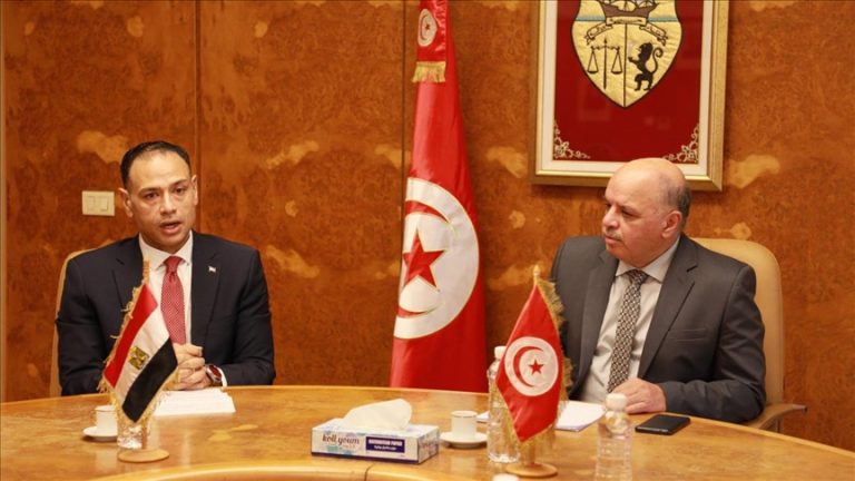 تونس ومصر تبحثان تعزيز التعاون في قطاع النقل وتوسيع الربط الجوي والبحري