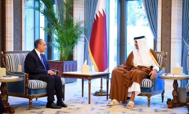 عبد العاطي ينقل رسالة تضامن من السيسي لأمير قطر