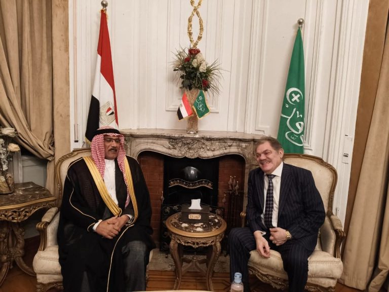 رئيس حزب الوفد: رؤية السيسى فى ربط سيناء بالدلتا حماية للأمن القومى