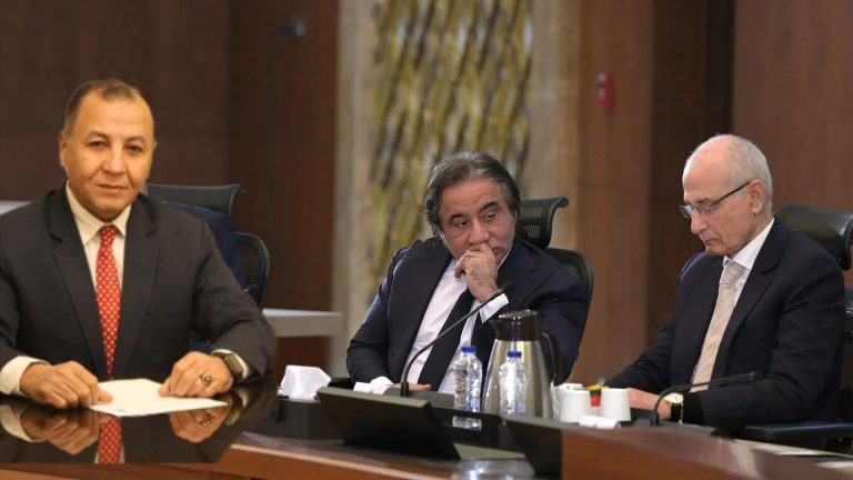مجدي حمدان يطالب بتدخل عاجل من الدولة لإنقاذ الاقتصاد من وصاية أحمد عز