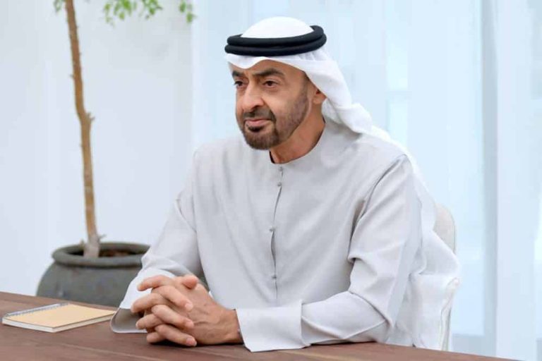 محمد بن زايد: الإمارات جلدها غليظ ولحمها مر