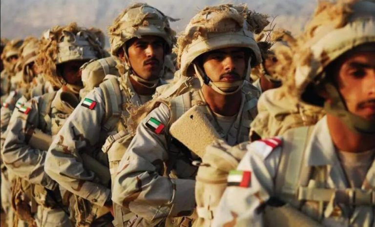 الدفاع الإماراتية تعلن مقتل اثنين من قواتها المسلحة في سقوط طائرة