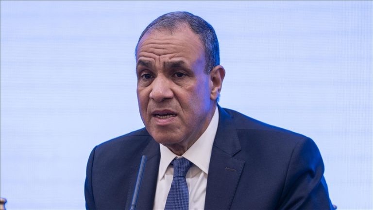 مصر تبحث مع تركيا وباكستان خفض التصعيد في المنطقة والدفع نحو الحلول الدبلوماسية