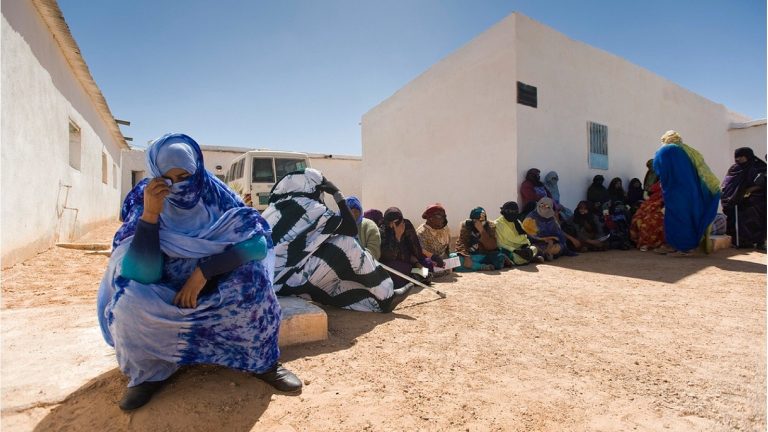 تحالف حقوقي يتهم الجزائر برعاية انتهاكات منذ 1975 وتعذيب واختفاء قسري بمخيمات تندوف