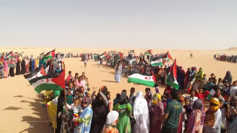 تحركات دولية واسعة لضمان حق الشعب الصحراوي في تقرير المصير ونيل الاستقلال