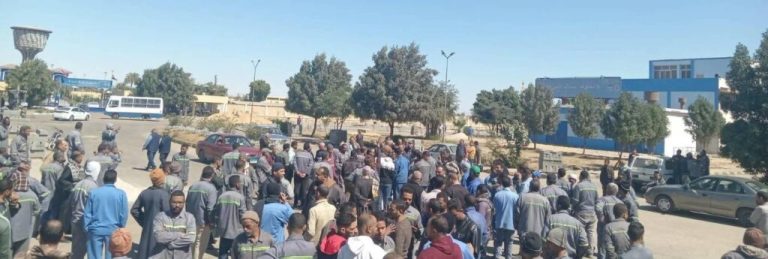 أزمة تثبيت العمالة المؤقتة في شركة مصر للألومنيوم بنجع حمادي تتصاعد والأمن يفض الإضراب