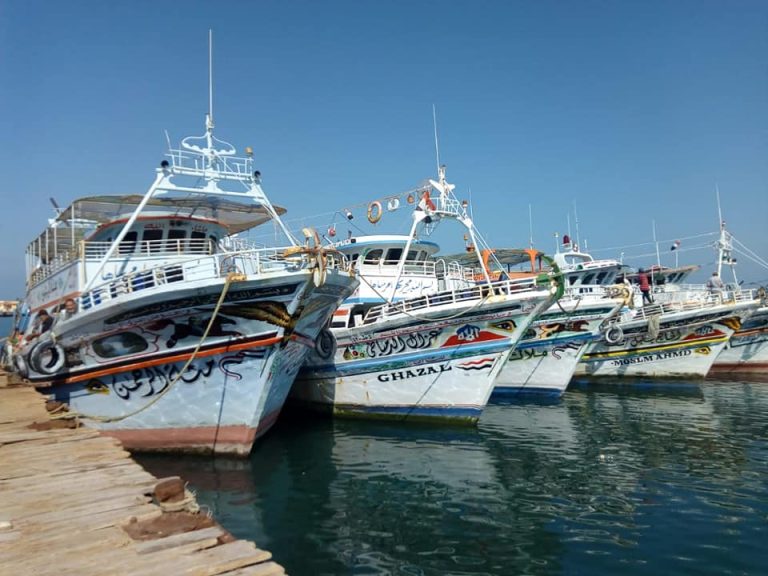 تسهيلات مصلحة الجمارك المصرية لتعزيز حركة الترانزيت العالمي ودعم سلاسل الإمداد الدولية