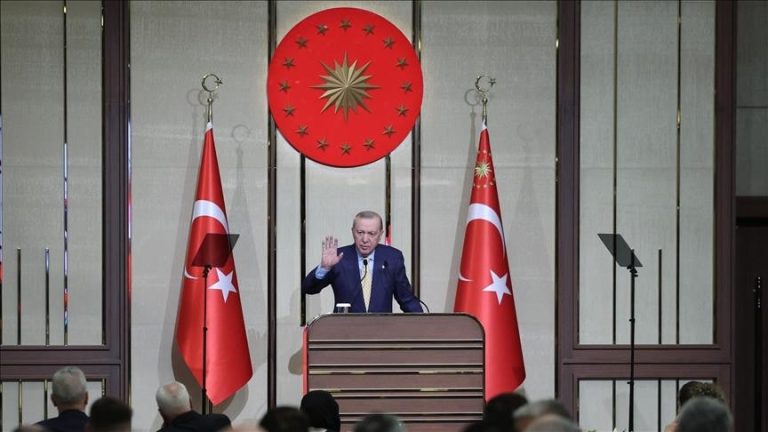 أردوغان: سنواصل الجهود الدبلوماسية لوقف إراقة الدماء في المنطقة
