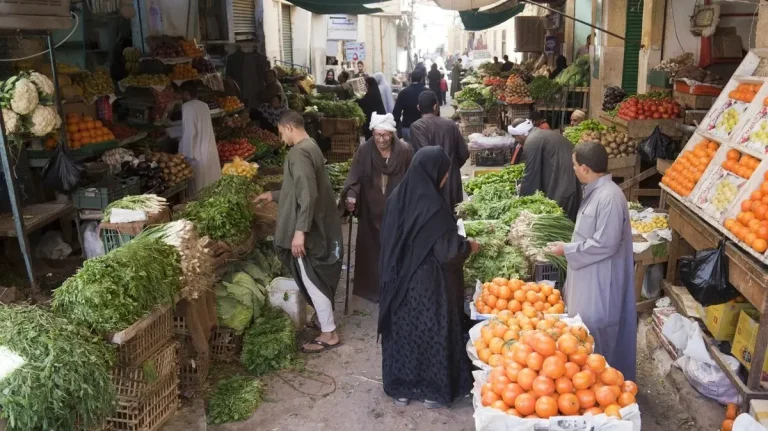 تحركات مخيفة في معدلات التضخم الشهري تضع جيوب المواطنين تحت مقصلة الأسعار