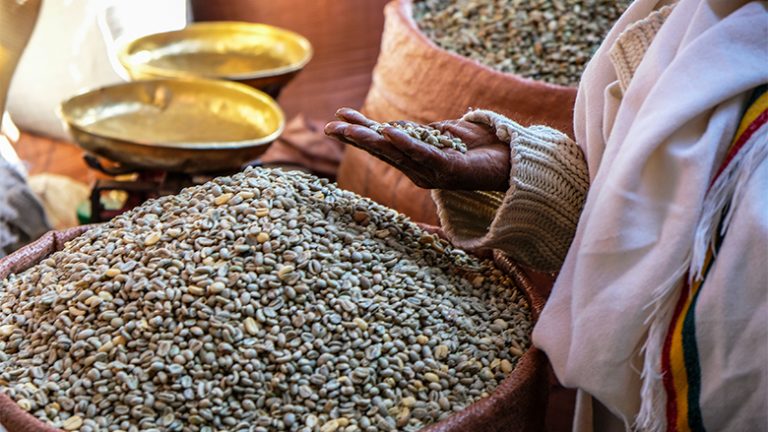 الوفاء بالإنفاق الدستوري للخدمات بين ضغوط التمويل وتدهور معيشة المواطنين