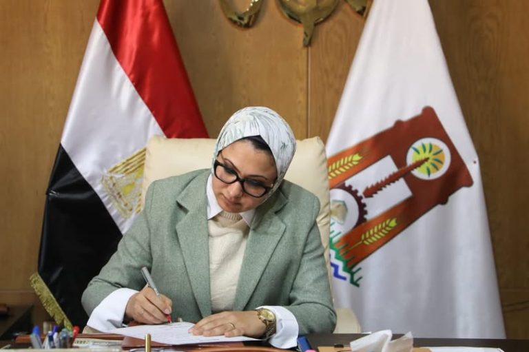 أزمة تقنين أراضي أملاك الدولة بقرية صنعاء بالوادي الجديد تضع اللجان في مأزق