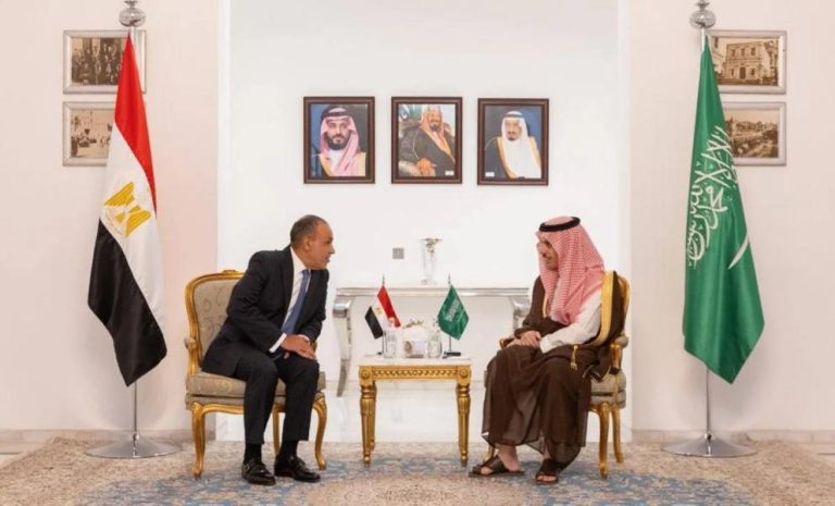وزيرا خارجية السعودية ومصر يبحثان تطورات الوضع الإقليمي