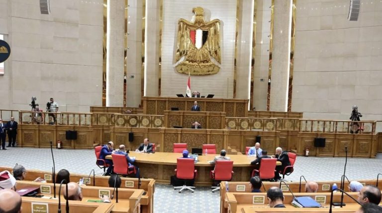 مشروع قانون الأسرة: الرؤية حق للطفل وغير الحاضن.. وامتناع الحاضن عن التنفيذ يسقط الحضانة
