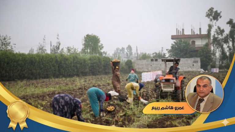 د.عمرو هاشم ربيع يكتب: عندما أفاقت الأوقاف على أملاكها بدأت بالفلاحين