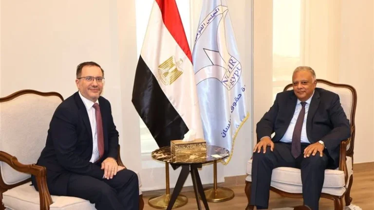 المجلس القومي لحقوق الإنسان يواجه ضغوطا دولية لتحسين ملف الحريات العامة