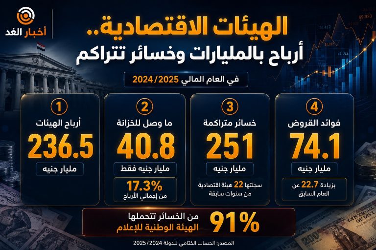 الهيئات الاقتصادية.. أرباح بالمليارات وخسائر تتراكم
