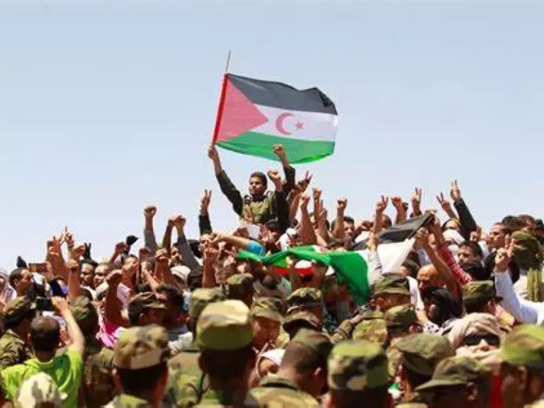 53 عاما من الصمود: البوليساريو تكتب التاريخ بالرصاص والدبلوماسية لاستعادة السيادة