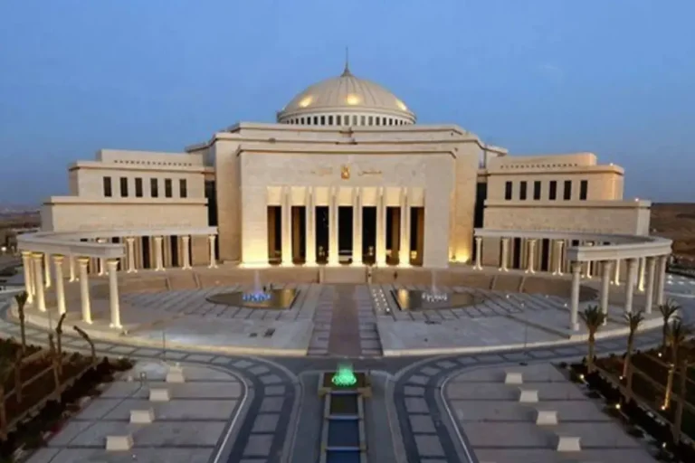 نائب رئيس الوزراء: الشركات الناشئة أحد أهم محركات النمو الاقتصادي الحديث