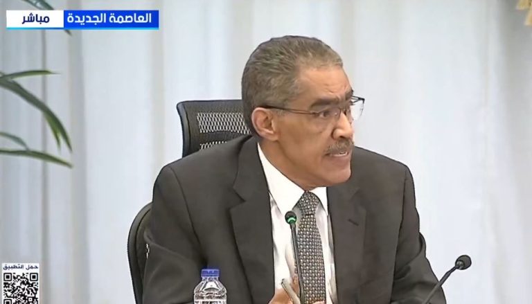 ضياء رشوان: لا ضرر في تملك الأجانب للعقارات في مصر