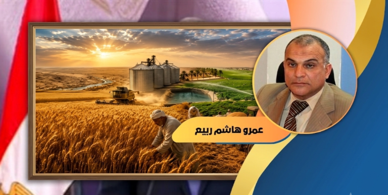 د.عمرو هاشم ربيع يكتب: القمح.. نعم يمكن تحقيق الاكتفاء الذاتي منه