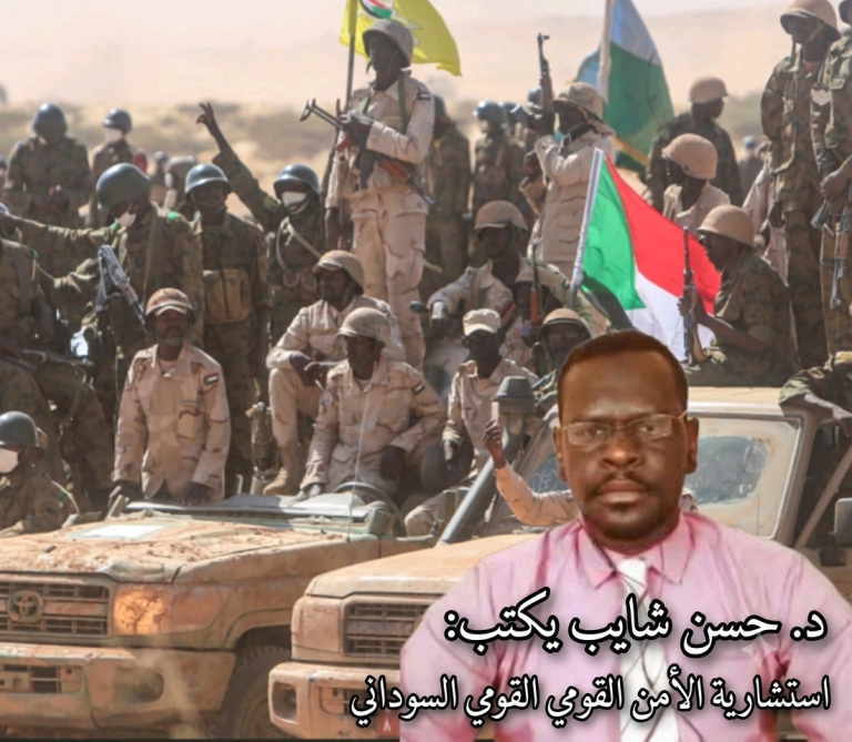 د.حسن شايب يكتب:  استشارية الأمن القومي السوداني