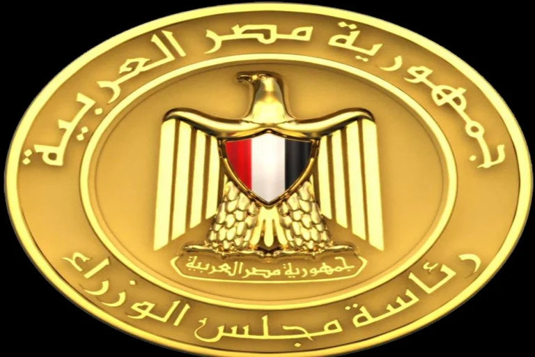 الحكومة: طائرة مسيرة وراء حريق سفينتي الغاز في ميناء دمياط دون خسائر بشرية