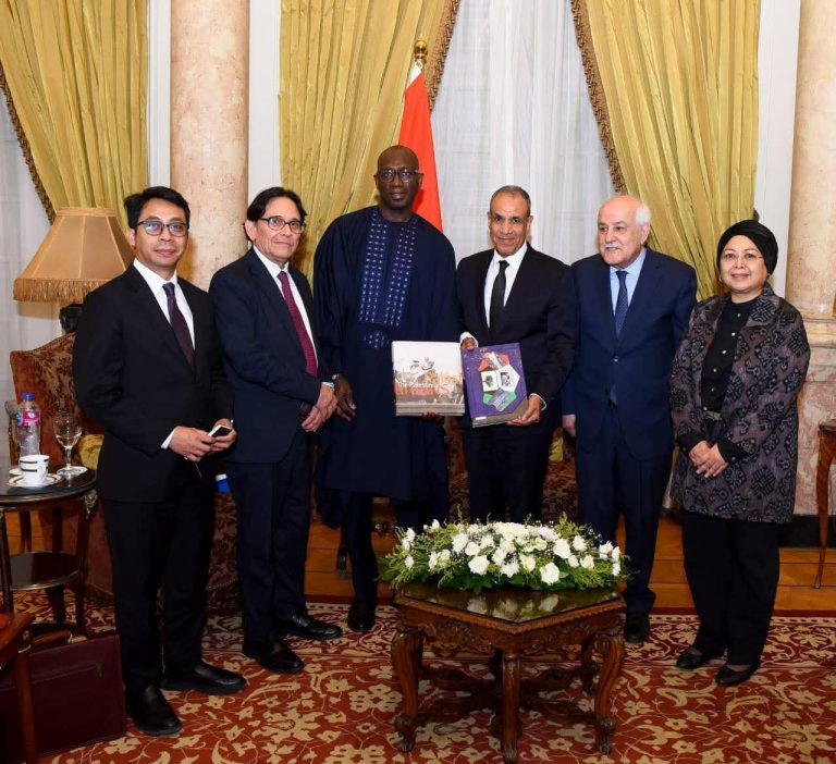 بدر عبد العاطي يطالب لجنة الأمم المتحدة المعنية بفلسطين بحشد دعم دولي لإلزام الاحتلال بالقانون الدولي