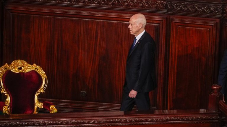 تيري بريزيون يكتب: قيس سعيّد… فشل الخلاص
