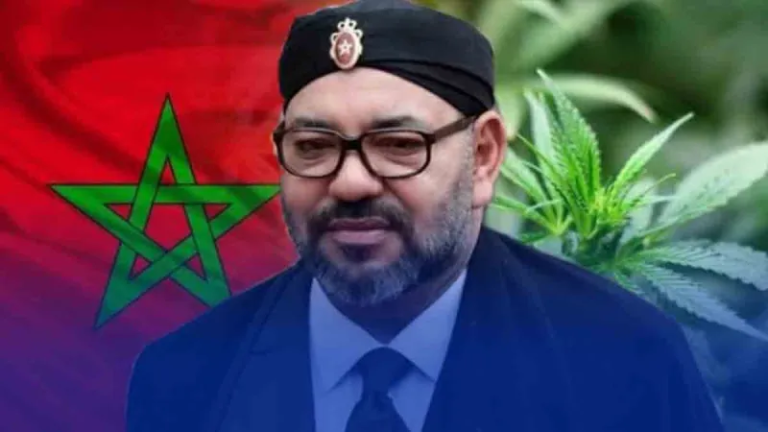 انفلات أمني وتغول لشبكات البوفا والكوكايين يزلزل جهة الشرق بالمغرب
