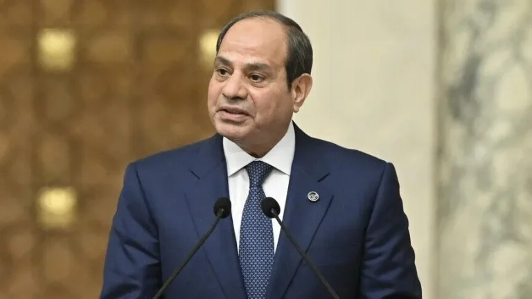 السيسي: مصر تتطلع لاستصلاح أراضٍ في تنزانيا وتعزيز التفاهم بين دول حوض النيل