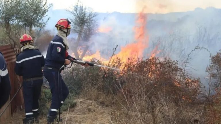 دماء ورماد: الجزائر تدخل في حداد وطني بعد حرائق غابات مدمرة