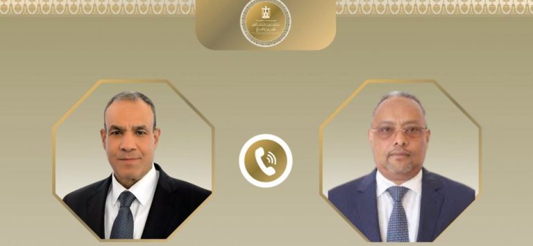 بدر عبد العاطي ونظيره الجيبوتي يبحثان تطورات الأوضاع في منطقة القرن الأفريقي
