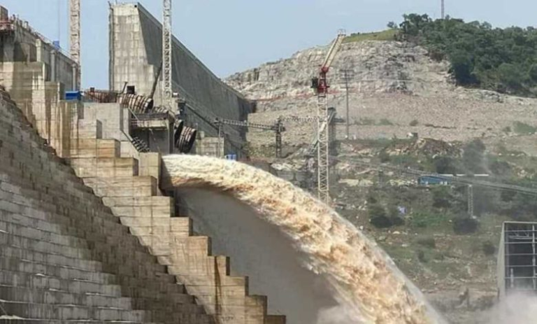 وزير الري يؤكد رفض مصر سدود إثيوبيا الجديدة وسط تساؤلات الردع
