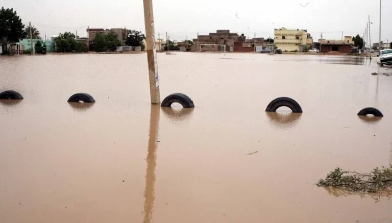 سيول جنوب كردفان تنزح 168 أسرة وتدمر وتضرر 271 منزلًا في أبو كرشولا
