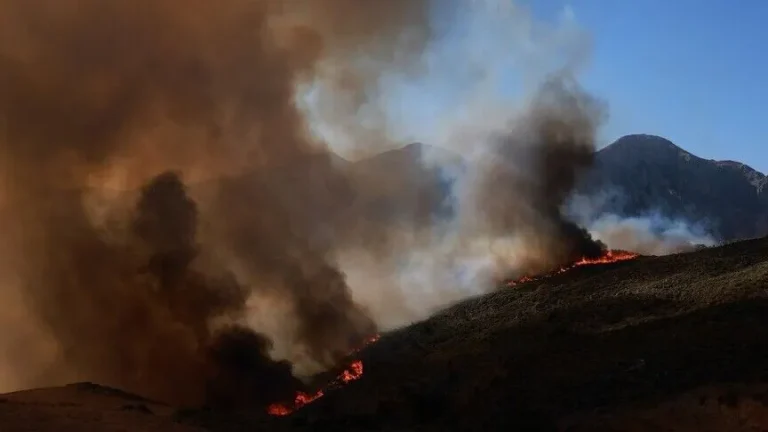 المغرب يواصل إخماد حرائق غابة صفرو بعد تضرر 120 هكتارًا