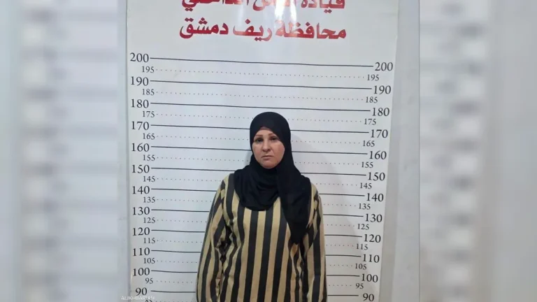 الأمن السوري يعتقل الإعلامية سنال الخضر وعددًا من العاملين معها في ريف دمشق